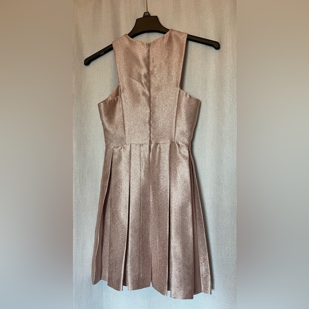 Gianni Bini blush metallic pleated swing dress - Picture 3 of 7